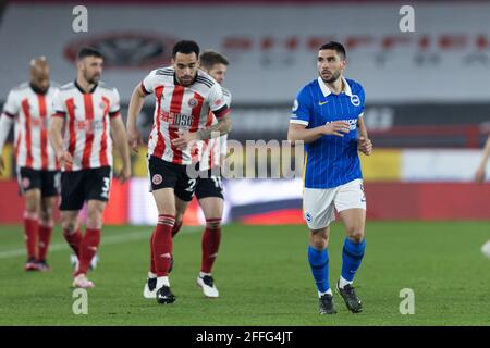 SHEFFIELD, ROYAUME-UNI. 24 AVRIL Neal Maupay de Brighton et Hove Albion lors du match de la Premier League entre Sheffield United et Brighton et Hove Albion à Bramall Lane, Sheffield, le samedi 24 avril 2021. (Credit: Pat Scaasi| MI News) Credit: MI News & Sport /Alay Live News Banque D'Images