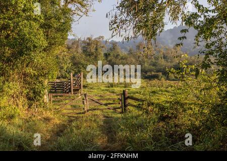 Ferme et champ avec forêt au lever du soleil, Ivoti, Rio Grade do Sul, Brésil Banque D'Images