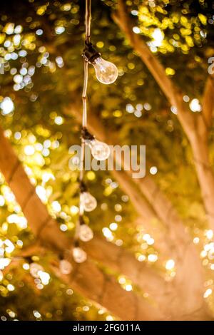 arbre avec lumières de patio Banque D'Images