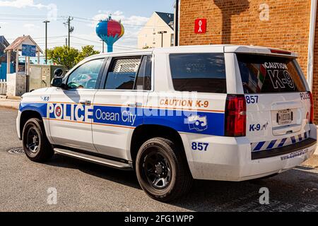 Ocean City, MD, États-Unis 04-18-2021: Un véhicule de police Ford Explorer appartenant au service de police d'Ocean City tourne au ralenti près de la promenade à bord. Il s'agit d'un K-9 Banque D'Images