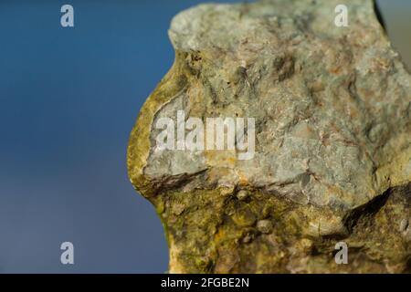 Une pierre fossile du cratère d'impact du météore Lumparn dans l'île d'Åland, en Finlande. Banque D'Images