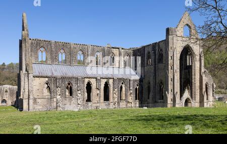 Abbaye de Tintern dans la vallée de la Wye, Monmouthshire, Wales, UK Banque D'Images