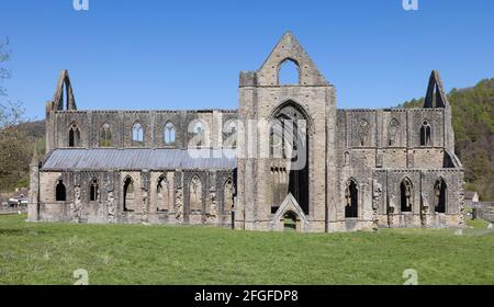 Abbaye de Tintern dans la vallée de la Wye, Monmouthshire, Wales, UK Banque D'Images