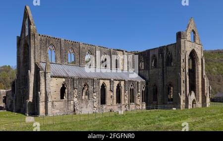 Abbaye de Tintern dans la vallée de la Wye, Monmouthshire, Wales, UK Banque D'Images