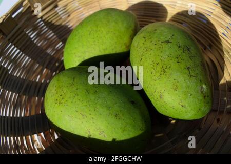 Mangues vertes fraîches et crues dans un panier en provenance de l'Asie de l'Inde. Mangue biologique verte non mûre asiatique brute dans un panier en osier. Frais cuelis Banque D'Images