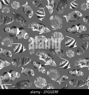 Poissons tropicaux exotiques monochromes motif sans couture dessiné à la main dans l'aquarelle pour le design de décoration. Monde sous-marin. Motif gris Banque D'Images