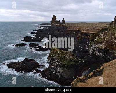 Vue sur le Beautirulf de la côte atlantique de la péninsule de Snæfellsnes, en Islande avec des oiseaux fulmar volants, des falaises escarpées et la célèbre formation de roches volcaniques. Banque D'Images