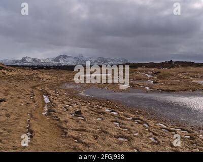 Paysage clairsemé au cap Öndverðarnesviti sur la côte nord-ouest de la péninsule de Snæfellsnes, à l'ouest de l'Islande en hiver avec de l'herbe brune. Banque D'Images