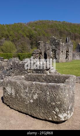 Petite chapelle en ruines vue des chambres de l'Abbé à l'abbaye de Tintern, dans le Monbucshire, au pays de Galles, au Royaume-Uni Banque D'Images