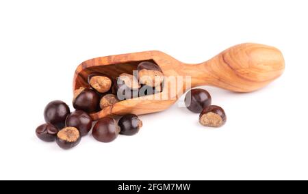 Graines de guarana en pelle en bois, isolées sur fond blanc. Supplément alimentaire guarana, source de caféine pour boissons énergétiques. Banque D'Images