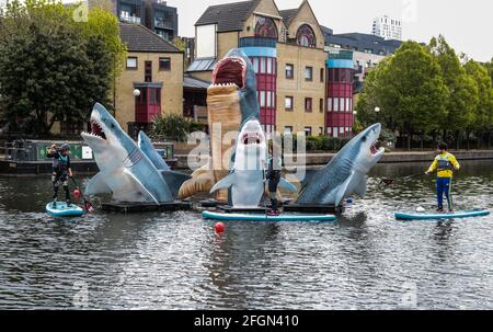 Londres, Royaume-Uni. 25 avril 2021. Les membres du club nautique de Sub Islington admirent l'installation artistique de cinq requins en polystyrène et en fibre de verre de l'artiste Jaimie Shorter, qui sont au milieu du bassin de la route de la ville, au plaisir de ceux qui vivent autour d'eux. Paul Quezada-Neiman/Alay Live News crédit: Paul Quezada-Neiman/Alay Live News Banque D'Images