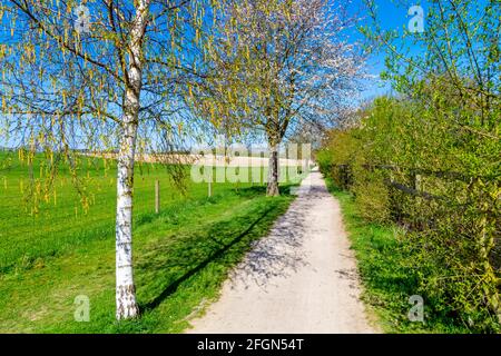 Piste cyclable le long des champs à la campagne, randonnée pédestre et réseau national de Cyclisme route C12 entre Baldock et Letchworth, Hertfordshire, Royaume-Uni Banque D'Images