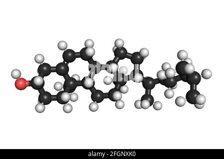 La molécule de cholestérol lipide organique 3D rend la structure chimique Banque D'Images