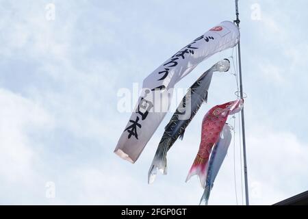 iida, Nagano, Japon, 25-04-2021 , drapeaux Carp COI, agitant dans le vent avec un message 'gambaro' pour le japon. « gambarou » signifie « faisons notre Banque D'Images