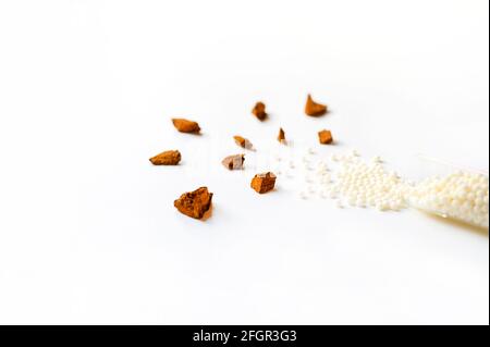 le champignon chaga. composition de morceaux de champignon chaga de bouleau et de pilules homéopathiques en pot sur fond blanc. le concept d'alternative Banque D'Images