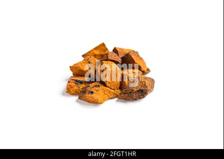 champignon chaga. pile de gros morceaux de champignon de bouleau naturel sauvage chaga isolé sur fond blanc Banque D'Images