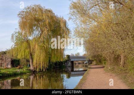 Une scène pittoresque sur le canal Trent et Mersey près de Willington, montrant un viaduc ferroviaire et des arbres dans un cadre rural pittoresque. Banque D'Images