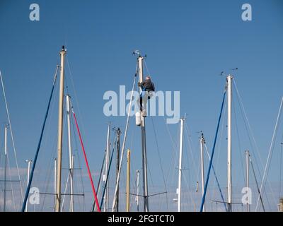 Par une journée calme et ensoleillée avec un ciel bleu clair, un homme travaille au sommet du mât d'un yacht amarré dans une marina. D'autres mâts de yacht apparaissent. Banque D'Images