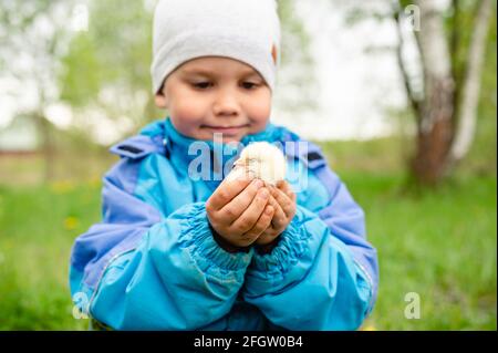 joyeux garçon petit fermier tient un bébé poulet dans ses mains dans la nature à l'extérieur. style campagne Banque D'Images