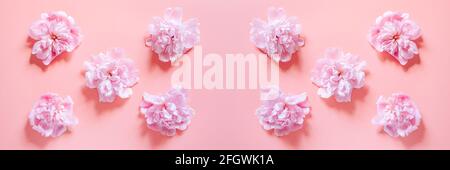 motif répété de plusieurs fleurs de pivoine en pleine fleur rose pastel isolé sur fond rose pâle. flat lay, vue de dessus. bannière Banque D'Images