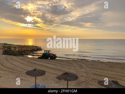 Alicante, Espagne - Alicante, 2021: Tracteur nettoyant la plage de la mer des algues au lever du soleil tôt le matin Banque D'Images