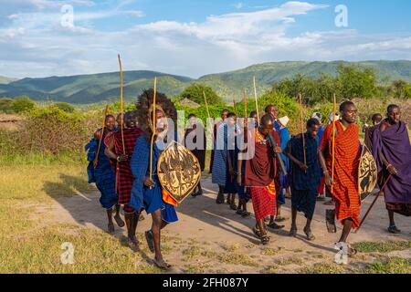 NGORONGORO, TANZANIE - 15 février 2020 : groupe de guerriers massai participant à une danse traditionnelle avec sauts élevés, sélection Banque D'Images