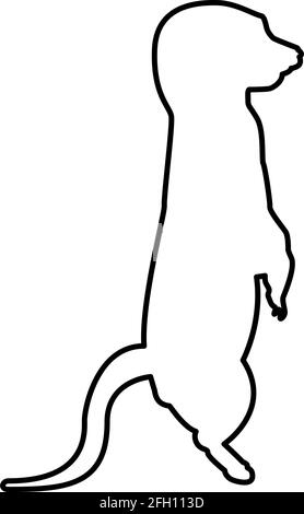 Meerkat en pose Suricata suricata contour vector de couleur noire illustration de style plat image simple Illustration de Vecteur