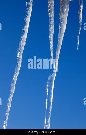 Icycles, glace, hiver, froid, Banque D'Images