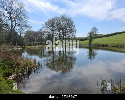 River Arrow, Cofton Hackett, Worcestershire Banque D'Images