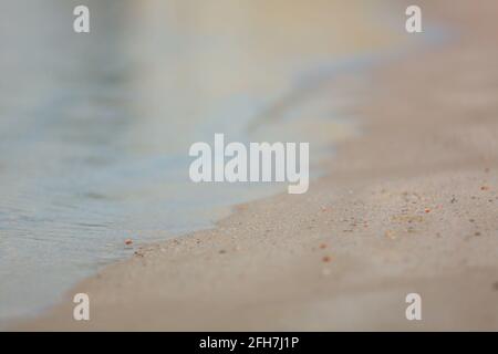 près d'une eau propre à côté de la plage Banque D'Images
