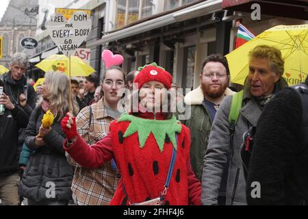 Amsterdam, pays-Bas. 25 avril 2021. Des centaines de manifestants se promoncent dans la rue lors d'une manifestation illégale contre les mesures du coronavirus à la place du Dam le 25 avril 2021 à Amsterdam, pays-Bas. L'agence néerlandaise de santé publique RIVM a signalé dimanche plus de 8.079 nouveaux cas de coronavirus. Ensuite, le 28 avril, le gouvernement atténue les restrictions sur le coronavirus en supprimant le confinement national des pays-Bas. (Photo de Paulo Amorim/Sipa USA) Credit: SIPA USA/Alay Live News Banque D'Images