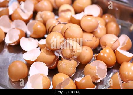 Gros plan de fragments de coquillage de poulet sur plateau en acier inoxydable, déchets de cuisine, source naturelle de calcium de la nature Banque D'Images