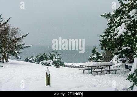 La neige couvre la plage de l'île Whidbey après la tempête de neige hivernale Banque D'Images