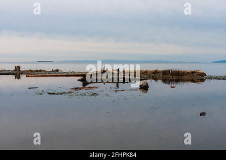 Inondations observées au parc national Joseph Whidbey, Oak Harbor, Washington Banque D'Images