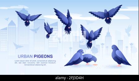 Pigeons à composition plate avec fond urbain silhouettes d'oiseaux et texte modifiable avec images de l'illustration vectorielle des pigeons Illustration de Vecteur