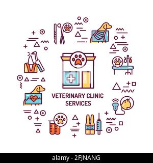 Bannière Web des services de clinique vétérinaire. Infographies avec icônes linéaires sur fond blanc. Concept d'idée créative. Illustration de couleur de contour isolée. Illustration de Vecteur