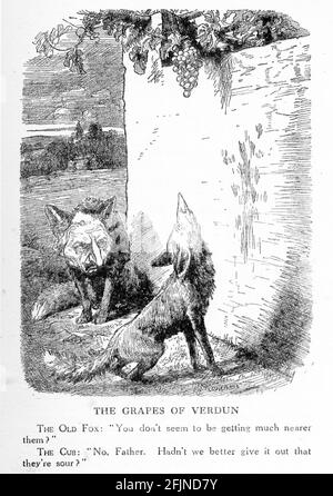 Gravure de deux renards allemands discutant des difficultés rencontrées lors de la prise de Verdun pendant la première Guerre mondiale. Du magazine Punch. Banque D'Images