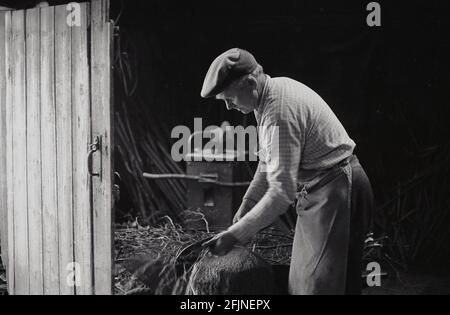 Années 1950, historique, un artisan masculin dans son atelier de fabrication d'un balai, Angleterre, Royaume-Uni. Un artisanat ancien, la fabrication de balais, également connu sous le nom de « béberoms » ou « fabrication de bébesom », consiste en un ensemble de brindilles d'arbre solidement attachées autour d'un bâton. Traditionnellement, les balais en besom étaient fabriqués à partir de brindilles de bouleau et un balai de village squire et un copiceworker les produisaient tous deux. Aujourd'hui, comme beaucoup d'artisanat rural ancien, ce commerce artisanal hautement spécialisé est presque complètement mort et il y a aujourd'hui moins de cinq fabricants de besom au Royaume-Uni qui font des balais sur une base commenmerique. Banque D'Images