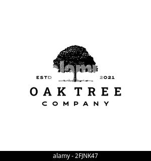 Vintage Retro Oak, Banyan, Maple Tree Service logo Design Illustration de Vecteur