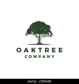 Vintage Retro Oak, Banyan, Maple Tree Service logo Design Illustration de Vecteur