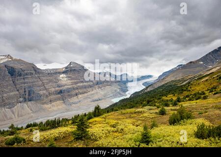 Vue dans la vallée avec la langue du glacier, Parker Ridge, le glacier Saskatchewan, le glacier Athabasca, le parc national Jasper, les Rocheuses canadiennes Banque D'Images