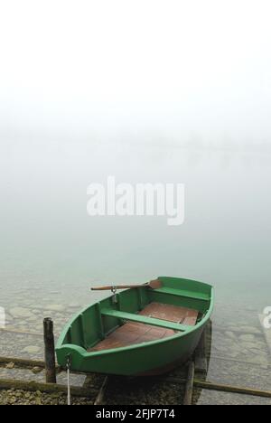 Bateau sur la rive, Punt, Wolfgangsee, Salzkammergut, Autriche Banque D'Images