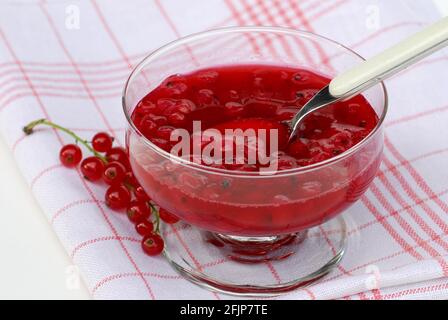 Compote de cassis, bol en verre, groseilles (Ribes rubrum) Banque D'Images