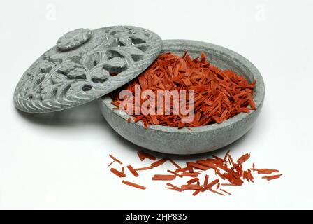 Pterocarpus santalinus (Pterocarpus santalinus) bois de santal, bois de potasse, bois d'encens Banque D'Images