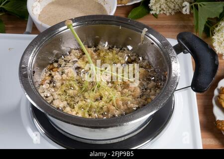 Aîné (Sambucus nigra), fleurs cuites au four, pot, pot de cuisson, four, cuisinière Banque D'Images