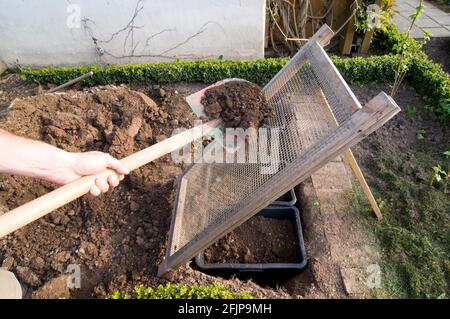 Plantation de menthe poivrée, tamisage de sol, pots de plantes en plastique, tamis, grille, pelle Banque D'Images