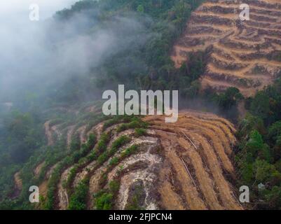 Image de drone aérien de déforestation. Images de drones aériens de forêt tropicale détruite pour faire place à des plantations de palmiers à huile Banque D'Images