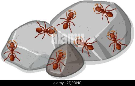 Vue de dessus de beaucoup de fourmis rouges sur l'illustration de pierres Illustration de Vecteur