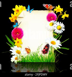 Aménagement créatif avec fleurs et papillons. Concept de printemps minimal. Banque D'Images