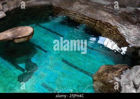 L'eau claire de grand cristal de l'aquarium marin de phoques vu d'en haut sans animaux en vue dans l'aquarium de Sao Paulo. Banque D'Images